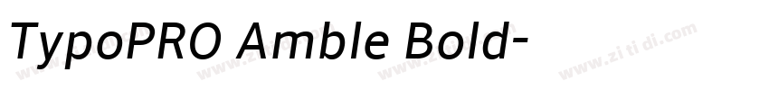 TypoPRO Amble Bold字体转换
